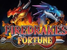Firedrakes Fortune screenshot